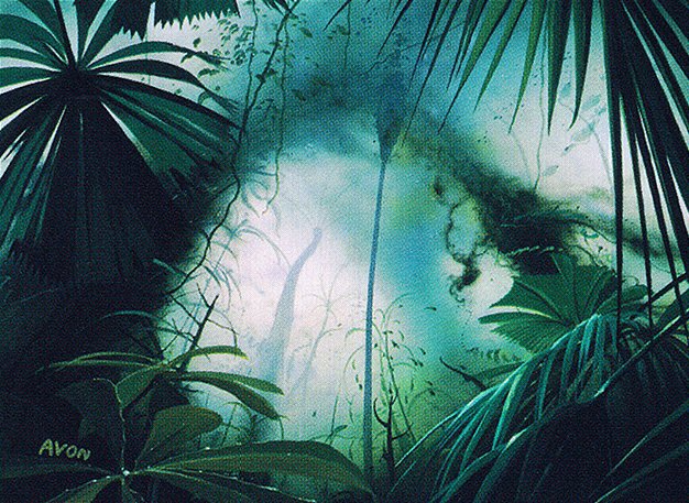 Jungle Basin