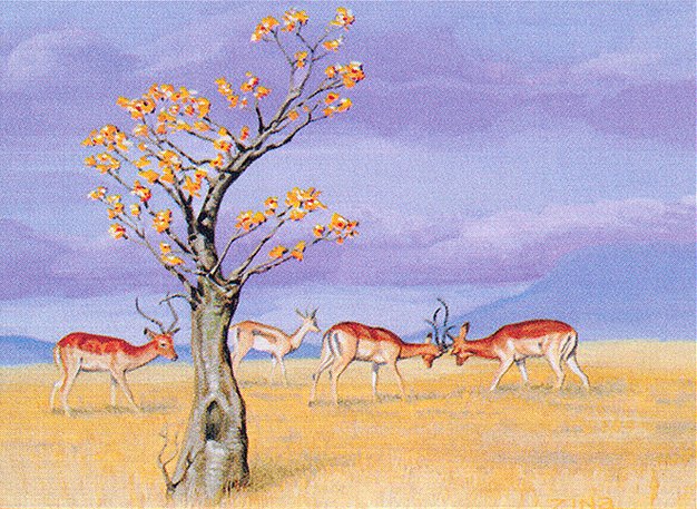Karoo