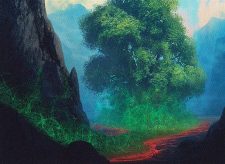 Myriad Landscape