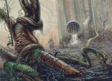 Polluted Mire
