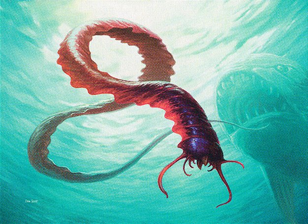 Reef Worm