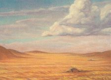 Secluded Steppe