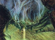Slippery Karst