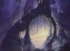 Swamp