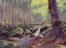Tranquil Thicket