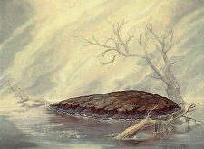 Barren Moor