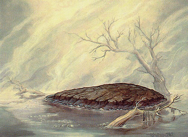 Barren Moor
