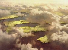 Drifting Meadow