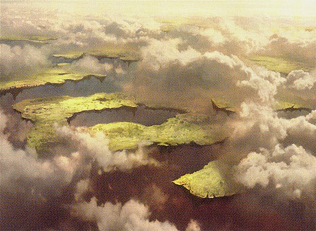 Drifting Meadow