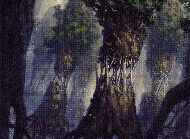 Evolving Wilds