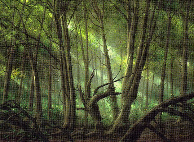 Forest