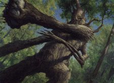 Great Oak Guardian