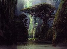 Jungle Hollow