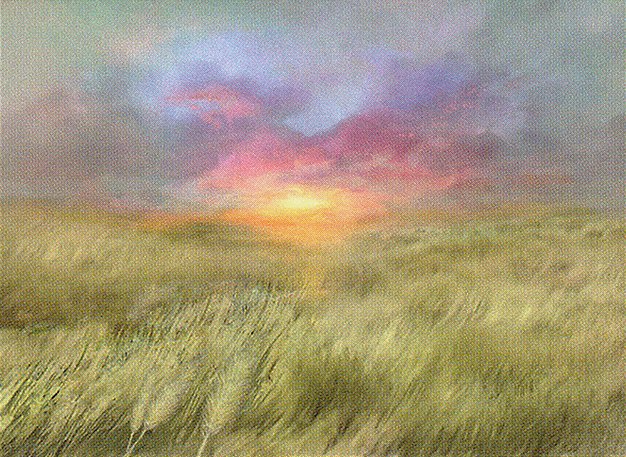 Plains