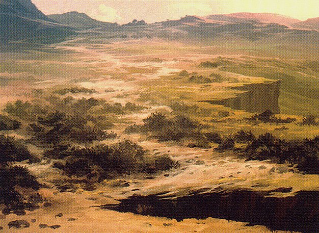 Plains