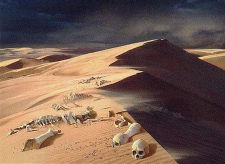 Scoured Barrens