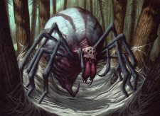 Stingerfling Spider