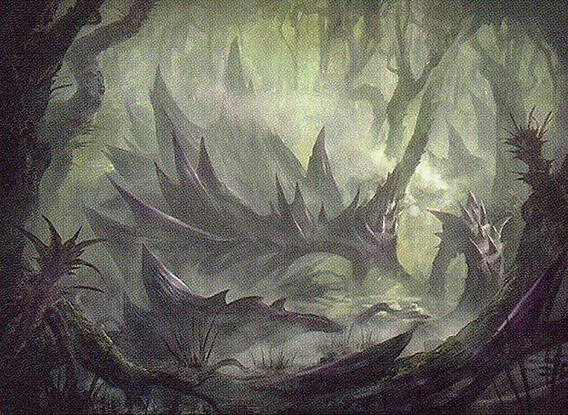 Swamp
