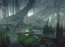 Swamp