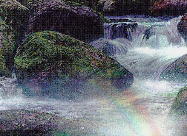 Vivid Creek