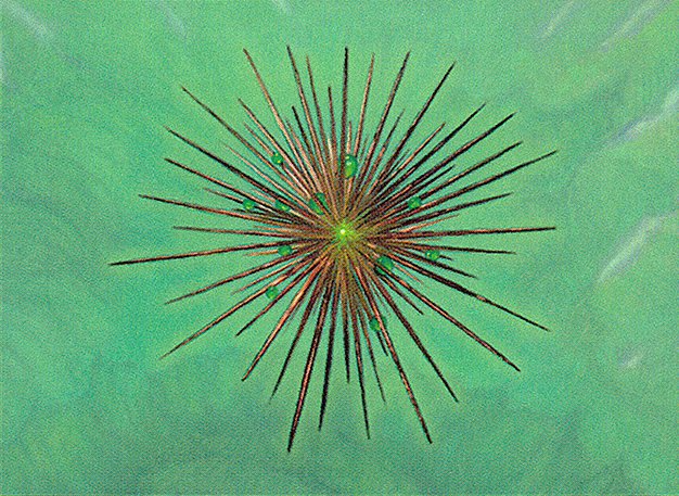 Wayfarer’s Bauble