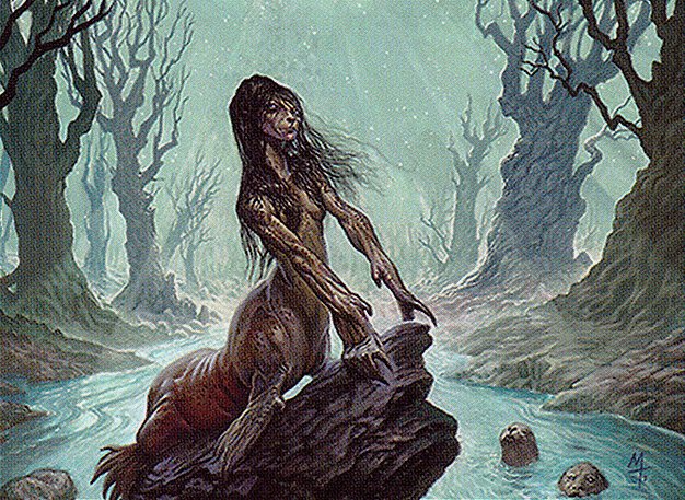 Wistful Selkie