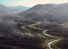 Ash Barrens