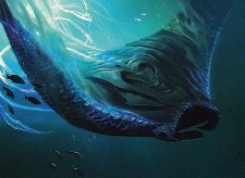 Deepglow Skate