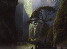 Jungle Hollow