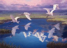 Migratory Route