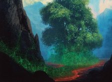 Myriad Landscape