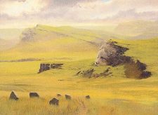 Plains