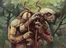 Sakura-Tribe Elder
