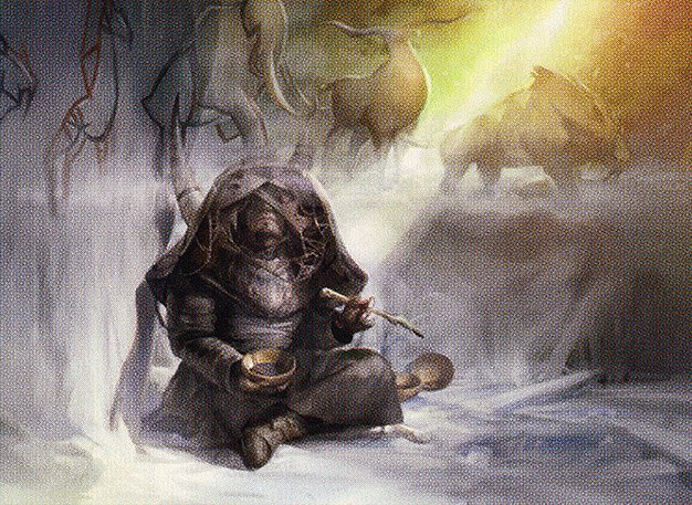 Shamanic Revelation