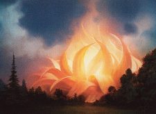 Sunpetal Grove