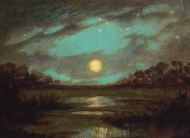 Swamp