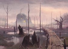 Swamp