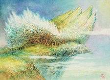 Windbrisk Heights