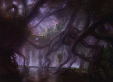 Dismal Backwater