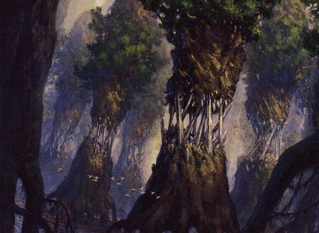 Evolving Wilds