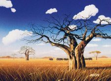 Grasslands