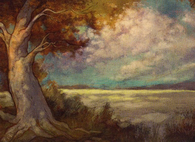 Plains