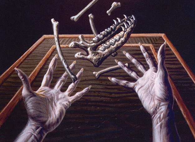 Skeletal Scrying