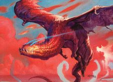 Spellbound Dragon