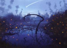 Swamp