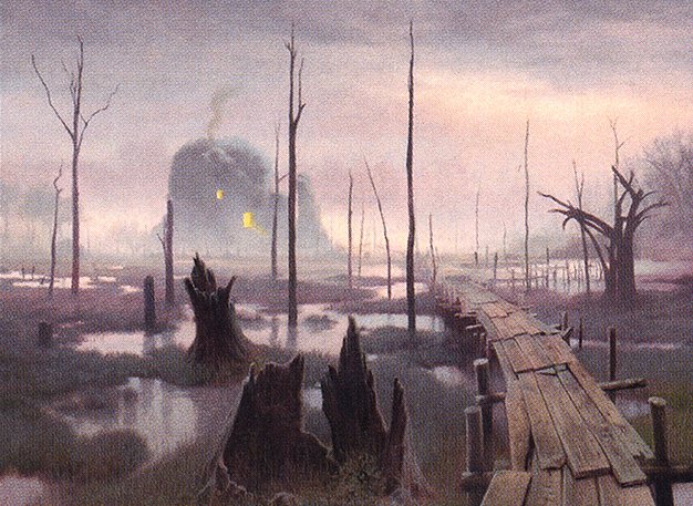 Swamp