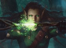 Sword of the Animist
