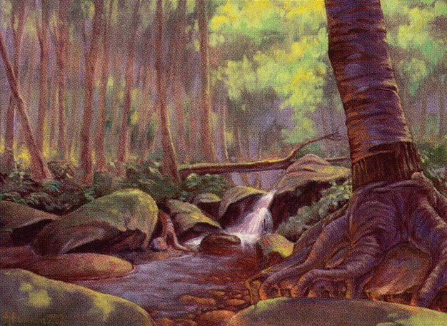 Tranquil Thicket