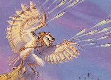 Wing Shards