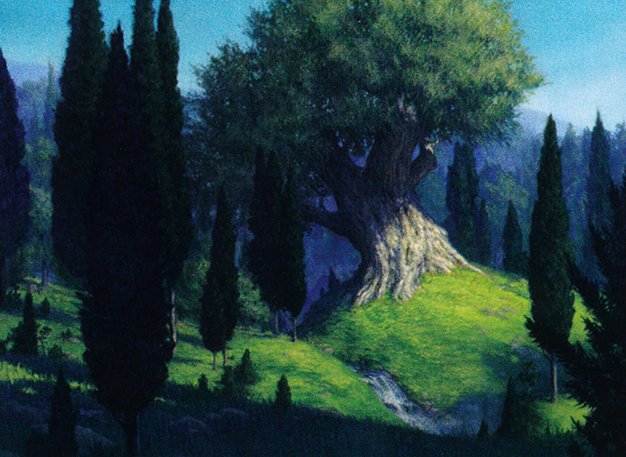 Forest